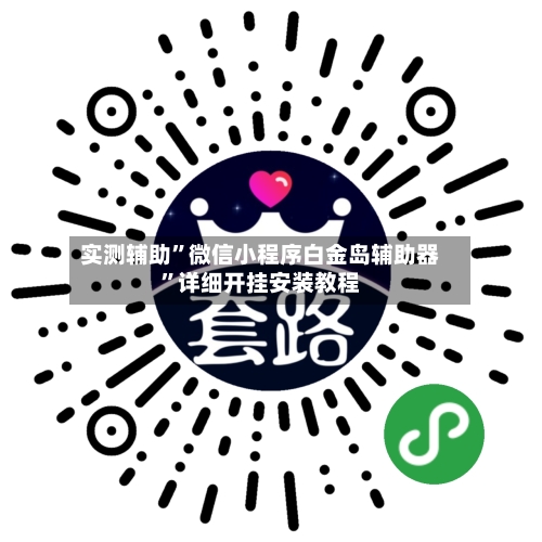 实测辅助”微信小程序白金岛辅助器	”详细开挂安装教程-第2张图片