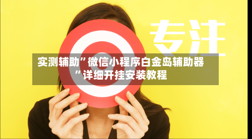 实测辅助”微信小程序白金岛辅助器”详细开挂安装教程-第3张图片