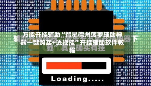 万能开挂辅助“智星德州菠萝辅助神器一键购买+透视挂”开挂辅助软件教程-第2张图片