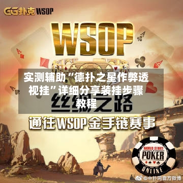 实测辅助“德扑之星作弊透视挂”详细分享装挂步骤教程-第1张图片