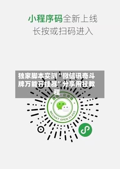 独家脚本实测“微信讯奇斗牌万能开挂器”分享用挂教程-第2张图片