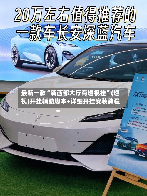 最新一款“新西部大厅有透视挂”(透视)开挂辅助脚本+详细开挂安装教程-第1张图片