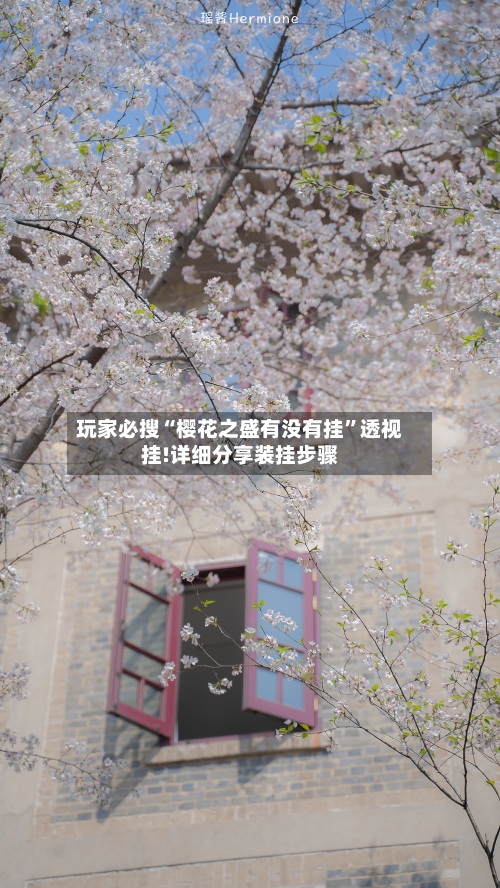 玩家必搜“樱花之盛有没有挂	”透视挂!详细分享装挂步骤-第3张图片