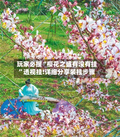 玩家必搜“樱花之盛有没有挂”透视挂!详细分享装挂步骤-第2张图片