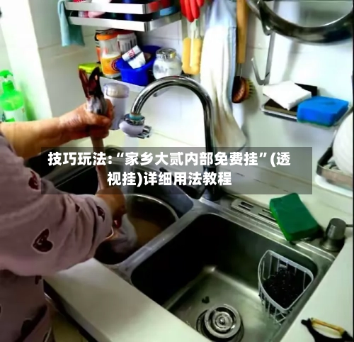 技巧玩法:“家乡大贰内部免费挂”(透视挂)详细用法教程-第1张图片