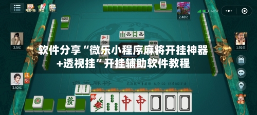 软件分享“微乐小程序麻将开挂神器+透视挂”开挂辅助软件教程-第2张图片