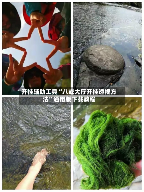 开挂辅助工具“八戒大厅开挂透视方法”通用版下载教程-第3张图片