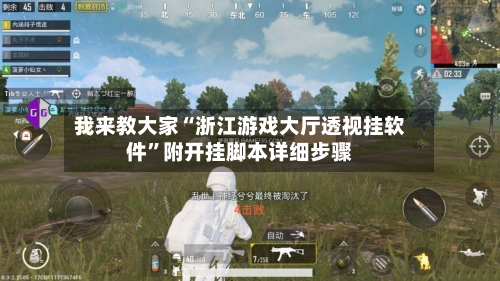 我来教大家“浙江游戏大厅透视挂软件”附开挂脚本详细步骤-第2张图片