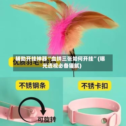 辅助开挂神器“血拼三张如何开挂”(曝光透视必备猫腻)-第3张图片