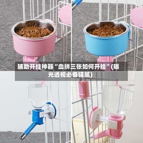 辅助开挂神器“血拼三张如何开挂	”(曝光透视必备猫腻)-第1张图片