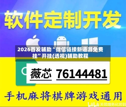 2026首发辅助“微信链接新道游免费挂”开挂(透视)辅助教程-第2张图片