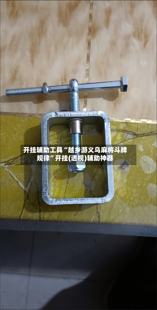 开挂辅助工具“越乡游义乌麻将斗牌规律	”开挂(透视)辅助神器-第1张图片