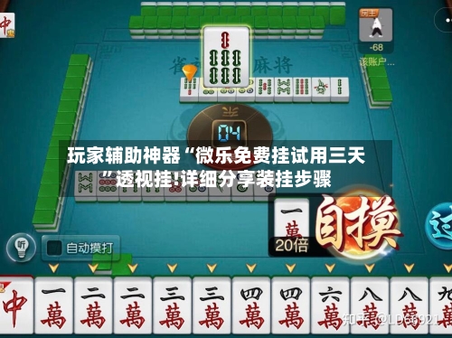 玩家辅助神器“微乐免费挂试用三天”透视挂!详细分享装挂步骤-第3张图片