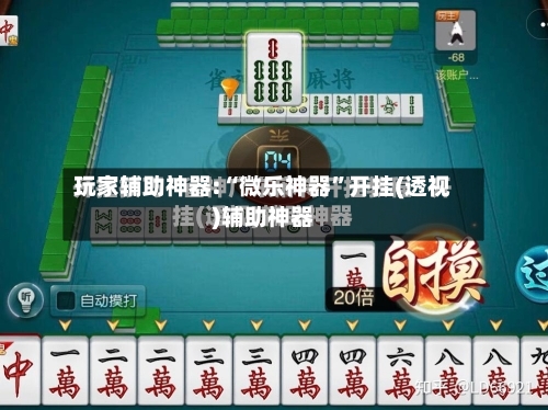 玩家辅助神器:“微乐神器	”开挂(透视)辅助神器-第2张图片