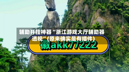 辅助开挂神器“浙江游戏大厅辅助器透视”(原来确实是有插件)-第2张图片
