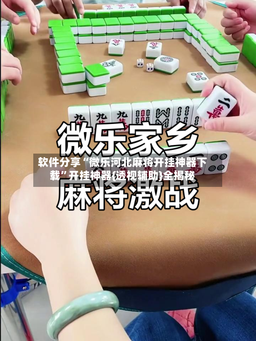 软件分享“微乐河北麻将开挂神器下载”开挂神器{透视辅助}全揭秘-第2张图片
