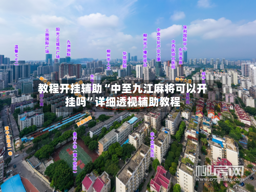 教程开挂辅助“中至九江麻将可以开挂吗	”详细透视辅助教程-第2张图片