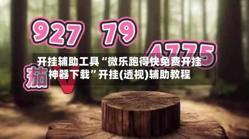 开挂辅助工具“微乐跑得快免费开挂神器下载	”开挂(透视)辅助教程-第2张图片