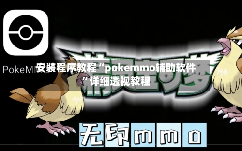 安装程序教程“pokemmo辅助软件”详细透视教程-第1张图片
