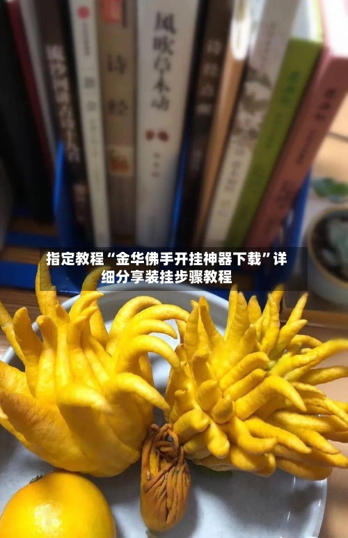 指定教程“金华佛手开挂神器下载”详细分享装挂步骤教程-第1张图片