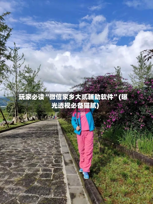 玩家必读“微信家乡大贰辅助软件”(曝光透视必备猫腻)-第1张图片