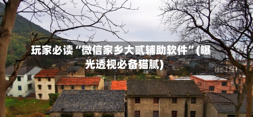 玩家必读“微信家乡大贰辅助软件	”(曝光透视必备猫腻)-第2张图片