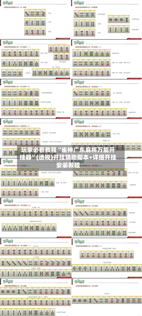 玩家必看教程“雀神广东麻将万能开挂器”(透视)开挂辅助脚本+详细开挂安装教程-第3张图片