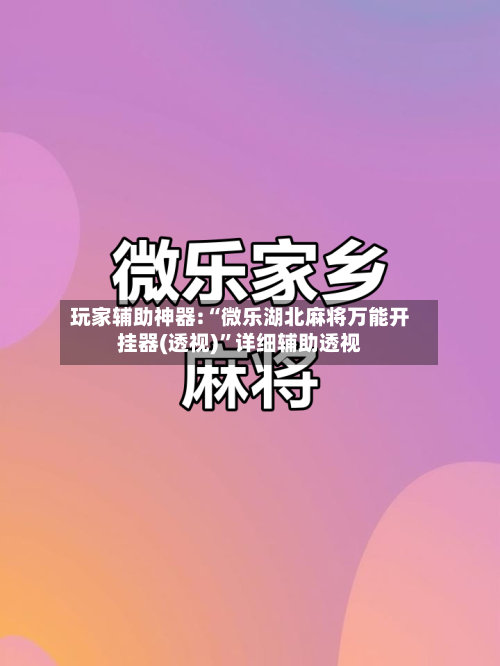 玩家辅助神器:“微乐湖北麻将万能开挂器(透视)”详细辅助透视-第1张图片