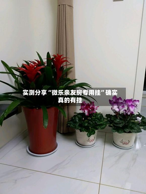 实测分享“微乐亲友房专用挂”确实真的有挂-第1张图片
