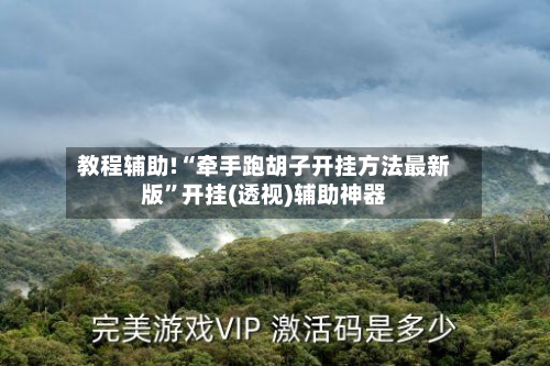 教程辅助!“牵手跑胡子开挂方法最新版”开挂(透视)辅助神器-第1张图片