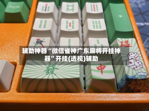 辅助神器“微信雀神广东麻将开挂神器”开挂(透视)辅助-第2张图片