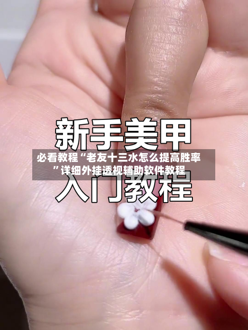 必看教程“老友十三水怎么提高胜率	”详细外挂透视辅助软件教程-第3张图片