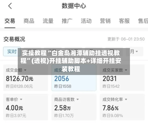实操教程“白金岛湘潭辅助挂透视教程	”(透视)开挂辅助脚本+详细开挂安装教程-第2张图片