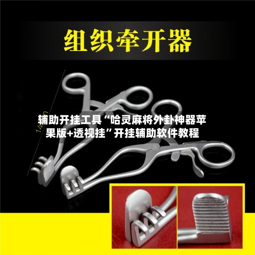 辅助开挂工具“哈灵麻将外卦神器苹果版+透视挂	”开挂辅助软件教程-第1张图片