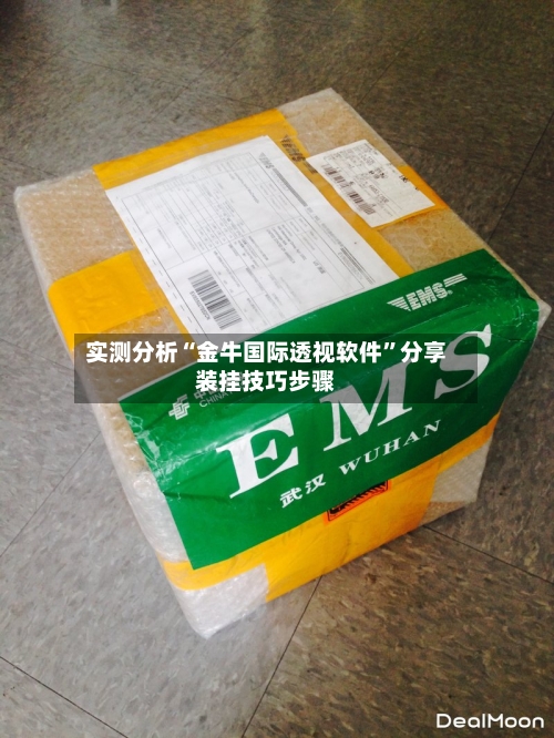 实测分析“金牛国际透视软件”分享装挂技巧步骤-第3张图片