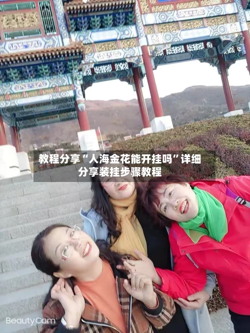 教程分享“人海金花能开挂吗”详细分享装挂步骤教程-第1张图片