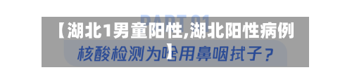 【湖北1男童阳性,湖北阳性病例】-第1张图片