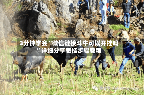 3分钟学会“微信链接斗牛可以开挂吗”详细分享装挂步骤教程-第3张图片