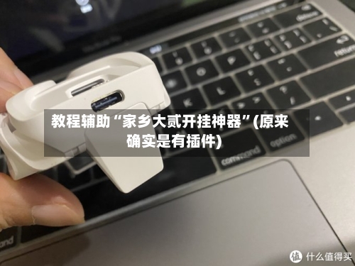 教程辅助“家乡大贰开挂神器”(原来确实是有插件)-第1张图片