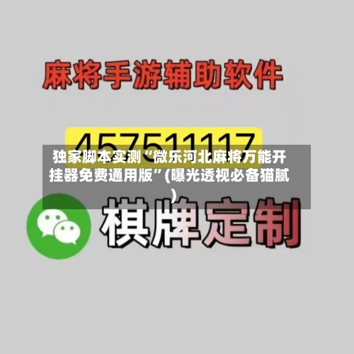 独家脚本实测“微乐河北麻将万能开挂器免费通用版”(曝光透视必备猫腻)-第3张图片