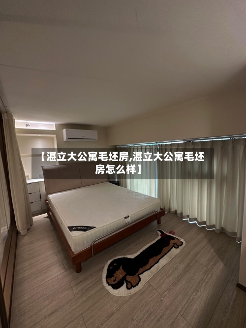 【湛立大公寓毛坯房,湛立大公寓毛坯房怎么样】-第1张图片