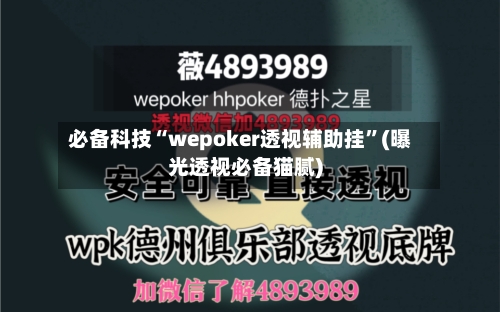 必备科技“wepoker透视辅助挂”(曝光透视必备猫腻)-第2张图片