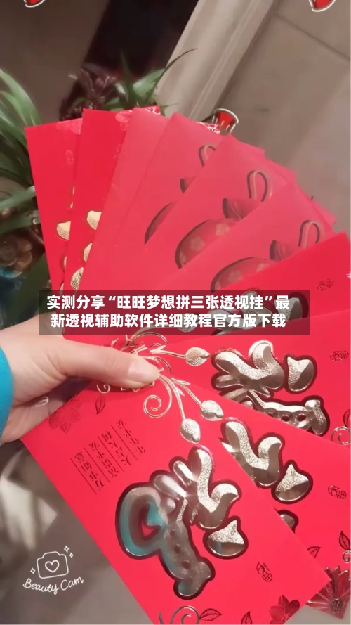 实测分享“旺旺梦想拼三张透视挂”最新透视辅助软件详细教程官方版下载-第3张图片