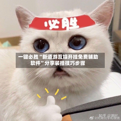 一键必胜“新道游互娱开挂免费辅助软件	”分享装挂技巧步骤-第1张图片