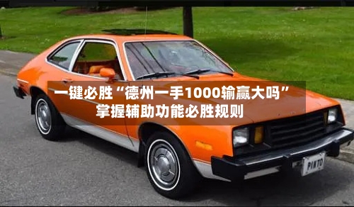 一键必胜“德州一手1000输赢大吗”掌握辅助功能必胜规则-第1张图片