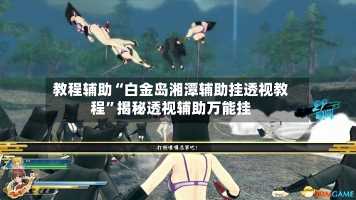 教程辅助“白金岛湘潭辅助挂透视教程”揭秘透视辅助万能挂-第3张图片