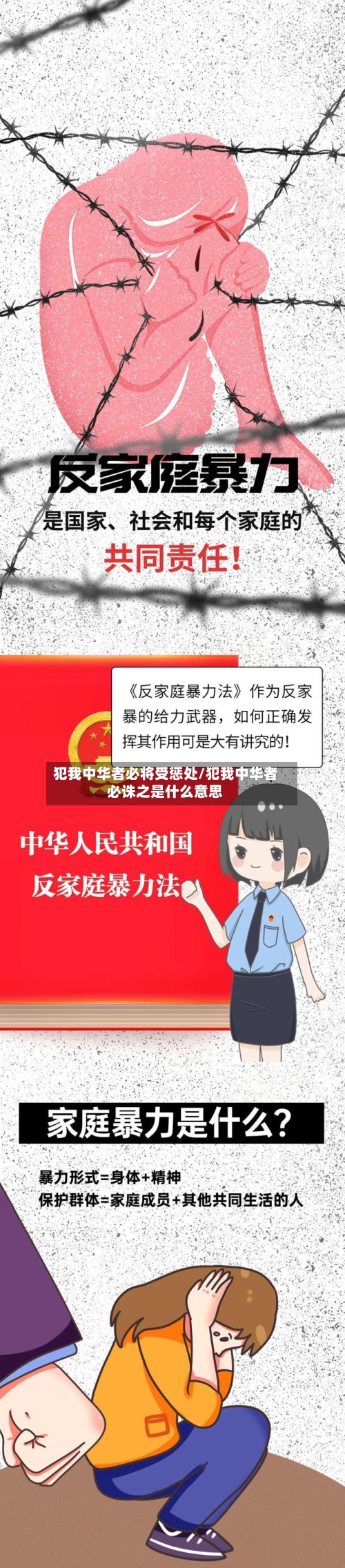 犯我中华者必将受惩处/犯我中华者必诛之是什么意思-第2张图片