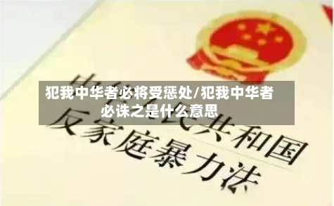 犯我中华者必将受惩处/犯我中华者必诛之是什么意思-第1张图片
