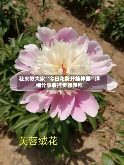 我来教大家“今日花牌开挂神器”详细分享装挂步骤教程-第2张图片