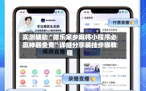 实测辅助“微乐家乡麻将小程序必赢神器免费”详细分享装挂步骤教程-第2张图片